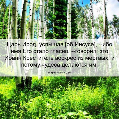 Picture 06 - Марка 6:14 RUSV - Царь Ирод, услышав [об - Bible Verse Picture