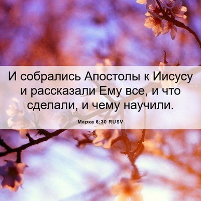 Picture 06 - Марка 6:30 RUSV - И собрались Апостолы к - Bible Verse Picture