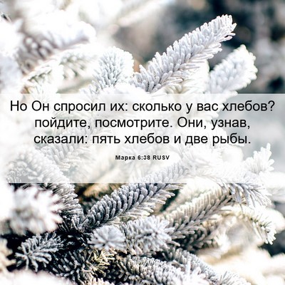 Picture 06 - Марка 6:38 RUSV - Но Он спросил их: сколько у - Bible Verse Picture