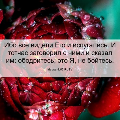 Picture 06 - Марка 6:50 RUSV - Ибо все видели Его и - Bible Verse Picture