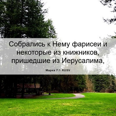 Picture 06 - Марка 7:1 RUSV - Собрались к Нему фарисеи и - Bible Verse Picture