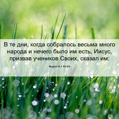 Picture 06 - Марка 8:1 RUSV - В те дни, когда собралось - Bible Verse Picture