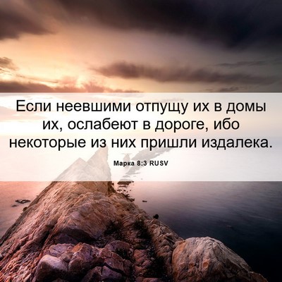 Picture 06 - Марка 8:3 RUSV - Если неевшими отпущу их в - Bible Verse Picture