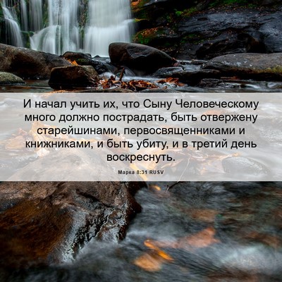 Picture 06 - Марка 8:31 RUSV - И начал учить их, что Сыну - Bible Verse Picture