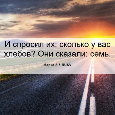 Picture 06 - Марка 8:5 RUSV - И спросил их: сколько у вас - Bible Verse Picture