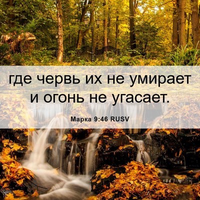 Picture 06 - Марка 9:46 RUSV - где червь их не умирает и - Bible Verse Picture