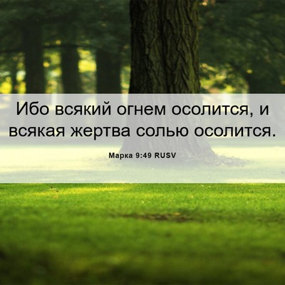 Picture 06 - Марка 9:49 RUSV - Ибо всякий огнем осолится, - Bible Verse Picture
