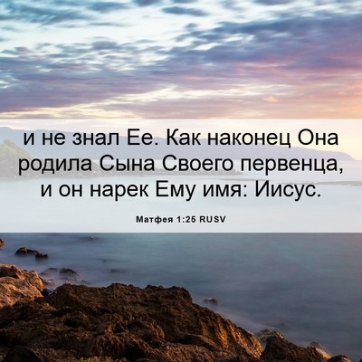 Picture 06 - Матфея 1:25 RUSV - и не знал Ее. Как наконец - Bible Verse Picture