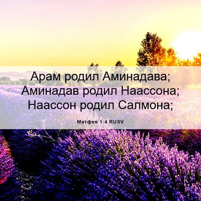 Picture 06 - Матфея 1:4 RUSV - Арам родил Аминадава; - Bible Verse Picture