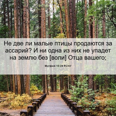 Picture 06 - Матфея 10:29 RUSV - Не две ли малые птицы - Bible Verse Picture