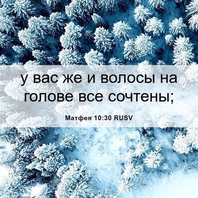 Picture 06 - Матфея 10:30 RUSV - у вас же и волосы на голове - Bible Verse Picture
