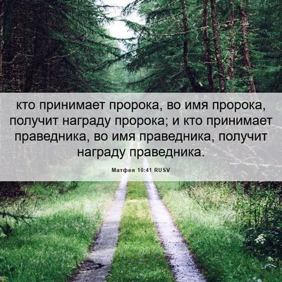 Picture 06 - Матфея 10:41 RUSV - кто принимает пророка, во - Bible Verse Picture