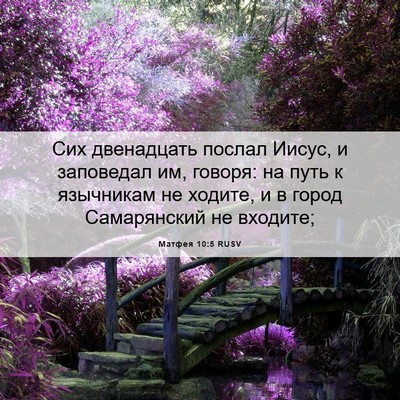 Picture 06 - Матфея 10:5 RUSV - Сих двенадцать послал - Bible Verse Picture