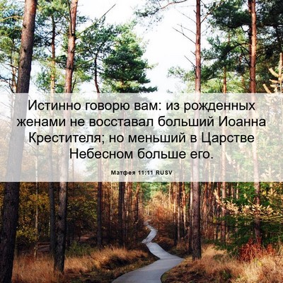 Picture 06 - Матфея 11:11 RUSV - Истинно говорю вам: из - Bible Verse Picture