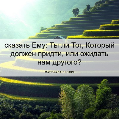 Picture 06 - Матфея 11:3 RUSV - сказать Ему: Ты ли Тот, - Bible Verse Picture