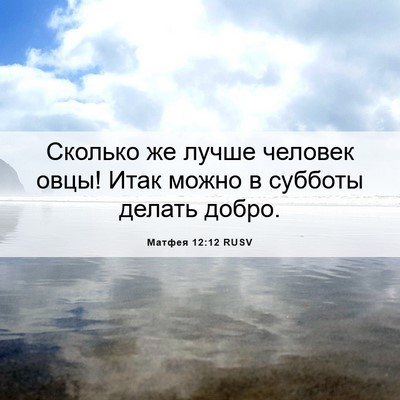 Picture 06 - Матфея 12:12 RUSV - Сколько же лучше человек - Bible Verse Picture