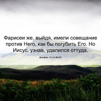 Picture 06 - Матфея 12:14 RUSV - Фарисеи же, выйдя, имели - Bible Verse Picture
