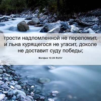 Picture 06 - Матфея 12:20 RUSV - трости надломленной не - Bible Verse Picture