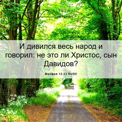 Picture 06 - Матфея 12:23 RUSV - И дивился весь народ и - Bible Verse Picture