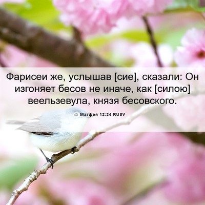 Picture 06 - Матфея 12:24 RUSV - Фарисеи же, услышав [сие], - Bible Verse Picture