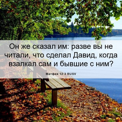 Picture 06 - Матфея 12:3 RUSV - Он же сказал им: разве вы не - Bible Verse Picture