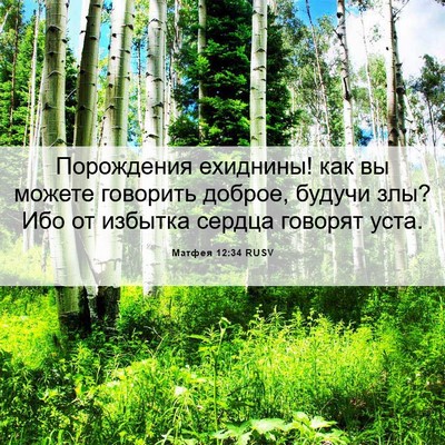 Picture 06 - Матфея 12:34 RUSV - Порождения ехиднины! как - Bible Verse Picture