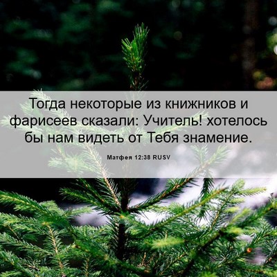 Picture 06 - Матфея 12:38 RUSV - Тогда некоторые из - Bible Verse Picture