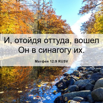 Picture 06 - Матфея 12:9 RUSV - И, отойдя оттуда, вошел Он в - Bible Verse Picture