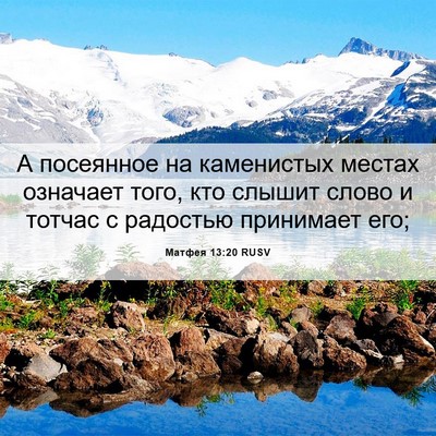 Picture 06 - Матфея 13:20 RUSV - А посеянное на каменистых - Bible Verse Picture