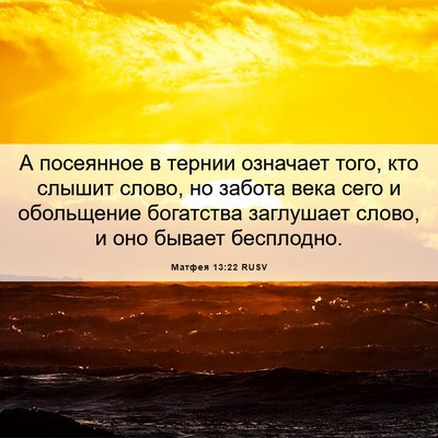 Picture 06 - Матфея 13:22 RUSV - А посеянное в тернии - Bible Verse Picture