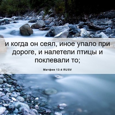 Picture 06 - Матфея 13:4 RUSV - и когда он сеял, иное упало - Bible Verse Picture