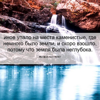 Picture 06 - Матфея 13:5 RUSV - иное упало на места - Bible Verse Picture