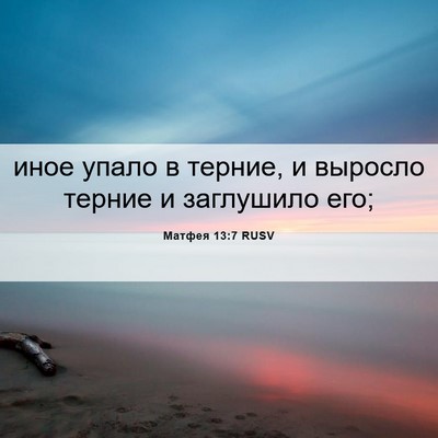 Picture 06 - Матфея 13:7 RUSV - иное упало в терние, и - Bible Verse Picture