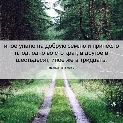 Picture 06 - Матфея 13:8 RUSV - иное упало на добрую землю - Bible Verse Picture
