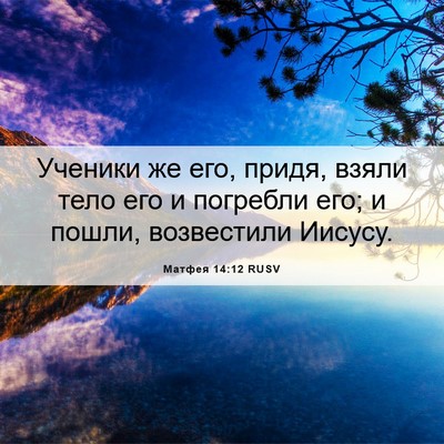 Picture 06 - Матфея 14:12 RUSV - Ученики же его, придя, - Bible Verse Picture