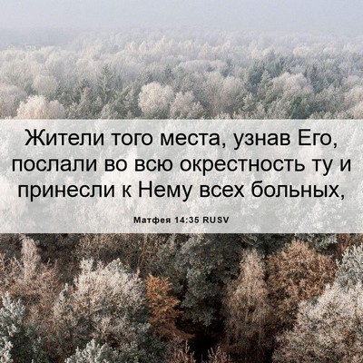 Picture 06 - Матфея 14:35 RUSV - Жители того места, узнав - Bible Verse Picture