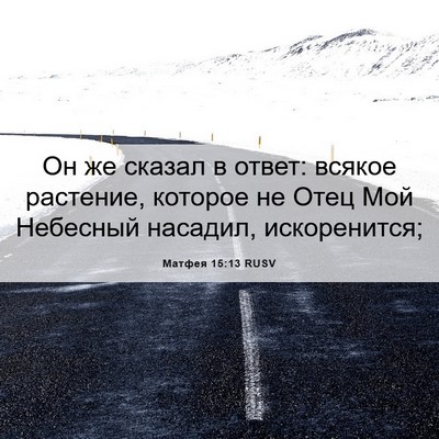 Picture 06 - Матфея 15:13 RUSV - Он же сказал в ответ: - Bible Verse Picture