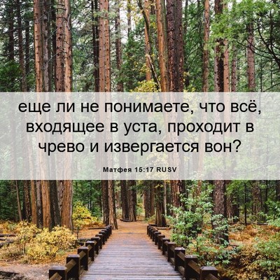 Picture 06 - Матфея 15:17 RUSV - еще ли не понимаете, что - Bible Verse Picture
