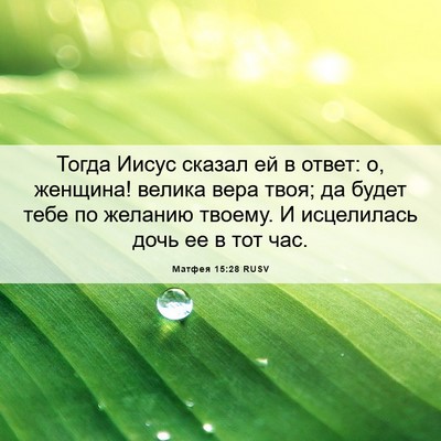 Picture 06 - Матфея 15:28 RUSV - Тогда Иисус сказал ей в - Bible Verse Picture