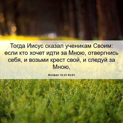 Picture 06 - Матфея 16:24 RUSV - Тогда Иисус сказал - Bible Verse Picture