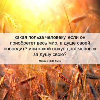 Picture 06 - Матфея 16:26 RUSV - какая польза человеку, - Bible Verse Picture