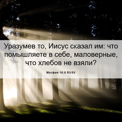 Picture 06 - Матфея 16:8 RUSV - Уразумев то, Иисус сказал - Bible Verse Picture