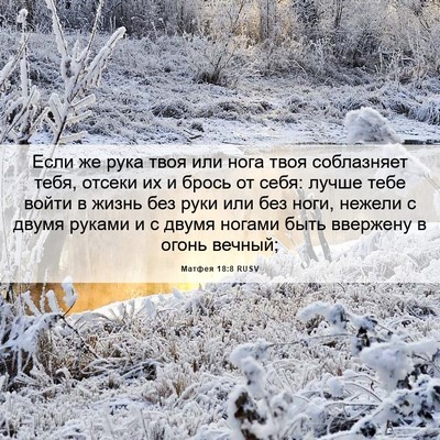 Picture 06 - Матфея 18:8 RUSV - Если же рука твоя или нога - Bible Verse Picture