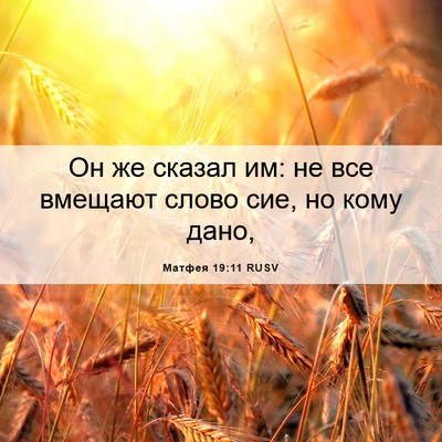 Picture 06 - Матфея 19:11 RUSV - Он же сказал им: не все - Bible Verse Picture