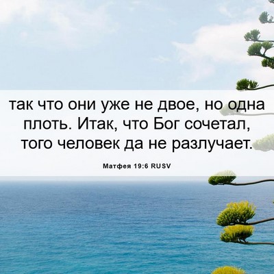 Picture 06 - Матфея 19:6 RUSV - так что они уже не двое, но - Bible Verse Picture