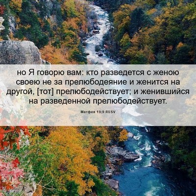 Picture 06 - Матфея 19:9 RUSV - но Я говорю вам: кто - Bible Verse Picture