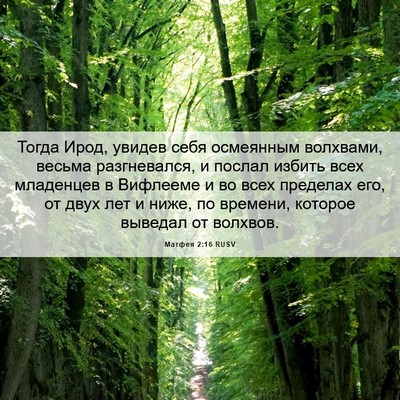 Picture 06 - Матфея 2:16 RUSV - Тогда Ирод, увидев себя - Bible Verse Picture