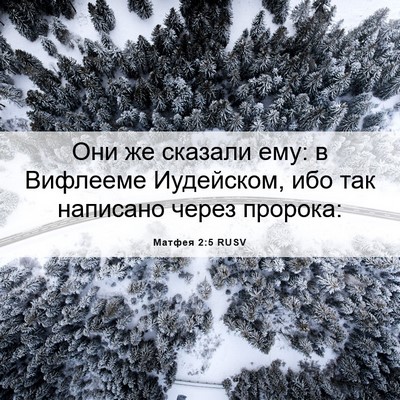 Picture 06 - Матфея 2:5 RUSV - Они же сказали ему: в - Bible Verse Picture