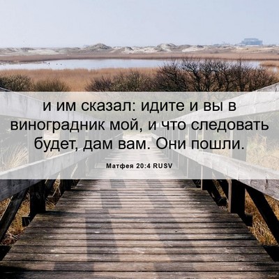 Picture 06 - Матфея 20:4 RUSV - и им сказал: идите и вы в - Bible Verse Picture