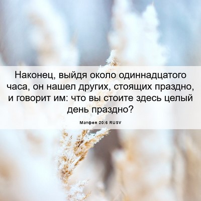 Picture 06 - Матфея 20:6 RUSV - Наконец, выйдя около - Bible Verse Picture